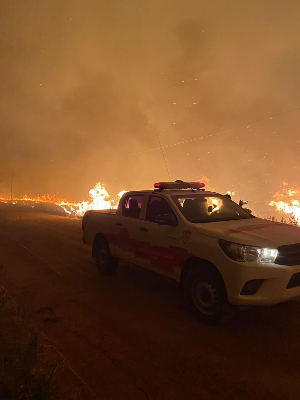 El fuego arrasó con más de 800 mil hectáreas.