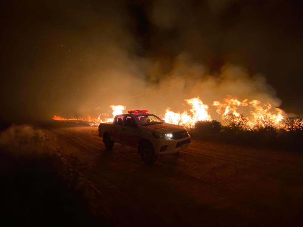 El fuego arrasó con más de 800 mil hectáreas.