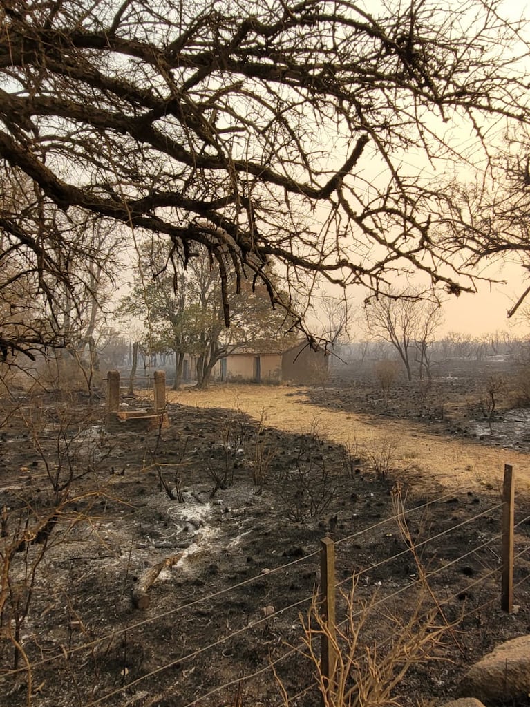 El fuego arrasó miles de hectáreas. Fotos: Fredy Bustos y Keko Enrique.