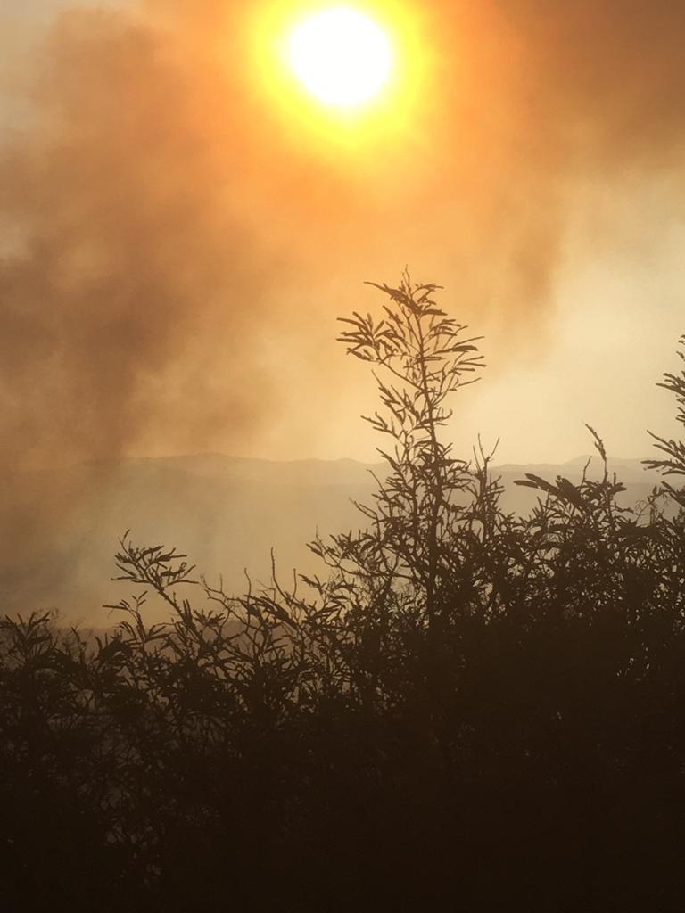 El fuego avanzó con fuerza en la zona detrás del Diquecito, sobre la ruta E-55.