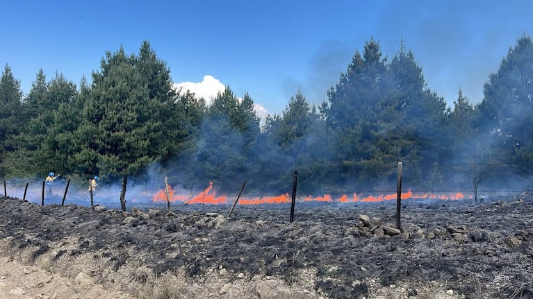 El fuego castiga cerca de Villa Berna.