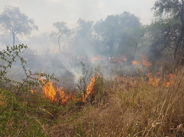 El fuego consume todo a su paso en una zona forestal de La Población. Foto: ElDoce.tv