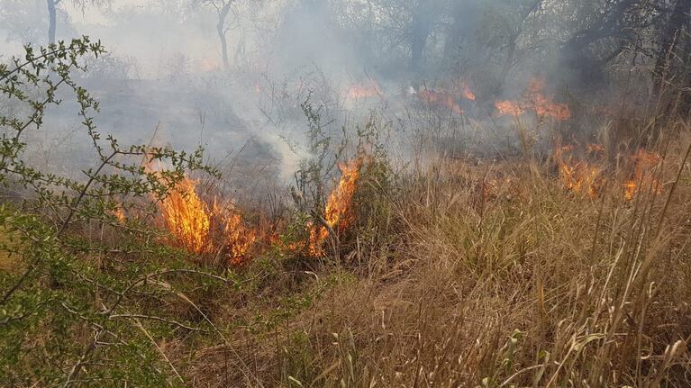 El fuego consume todo a su paso en una zona forestal de La Población. Foto: ElDoce.tv