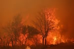 El fuego consumió monte nativo y dañó viviendas.