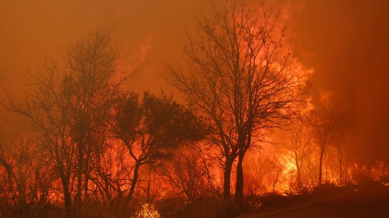 El fuego consumió monte nativo y dañó viviendas.