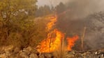 El fuego convirtió la vegetación en cenizas, que ahora llegaron a los ríos.