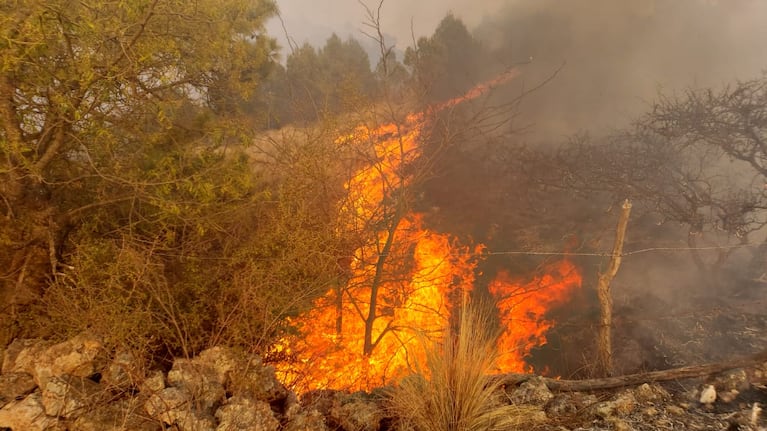 El fuego convirtió la vegetación en cenizas, que ahora llegaron a los ríos.