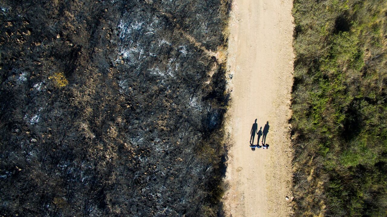 El fuego en las sierras dejó postales desoladoras. Foto: Lucio Casalla / ElDoce.tv.