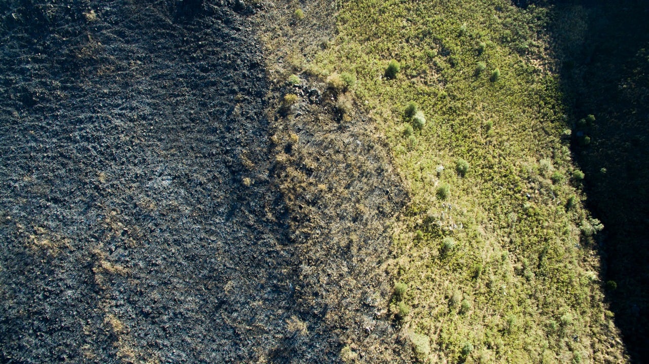 El fuego en las sierras dejó postales desoladoras. Foto: Lucio Casalla / ElDoce.tv.