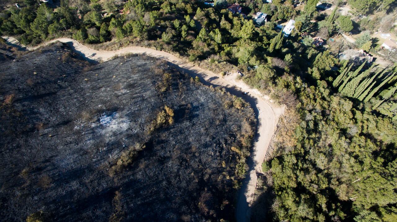 El fuego en las sierras dejó postales desoladoras. Foto: Lucio Casalla / ElDoce.tv.