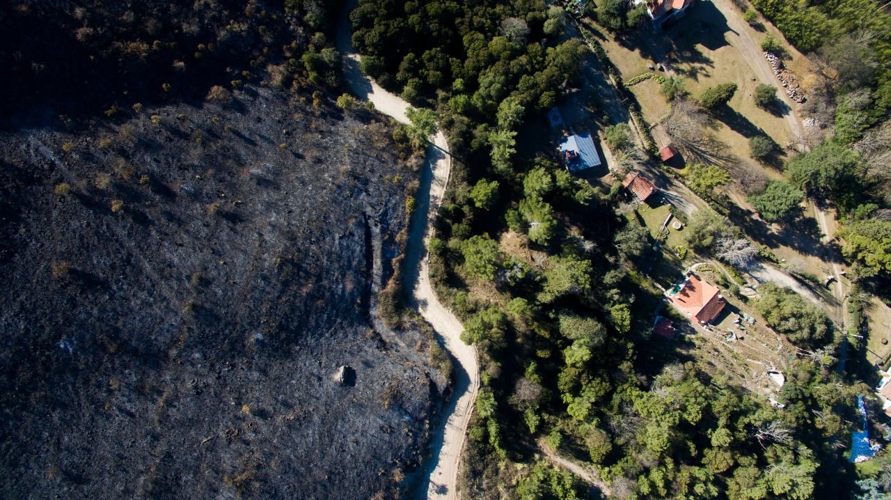 El fuego en las sierras dejó postales desoladoras. Foto: Lucio Casalla / ElDoce.tv.