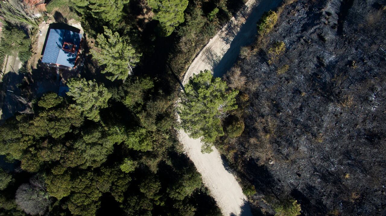 El fuego en las sierras dejó postales desoladoras. Foto: Lucio Casalla / ElDoce.tv.