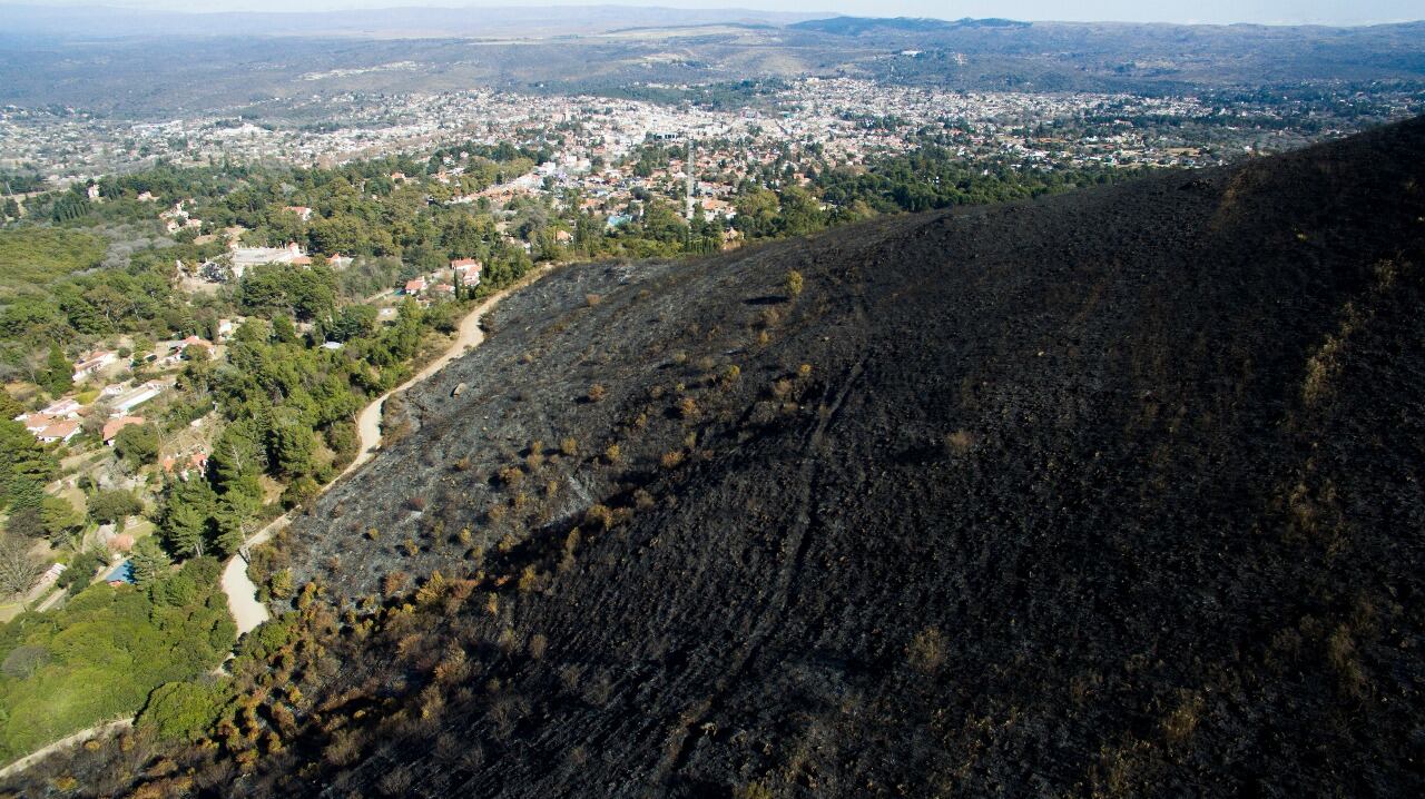 El fuego en las sierras dejó postales desoladoras. Foto: Lucio Casalla / ElDoce.tv.