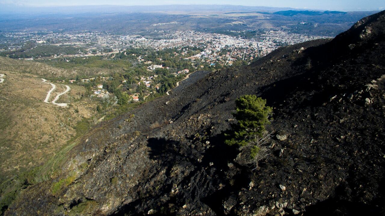 El fuego en las sierras dejó postales desoladoras. Foto: Lucio Casalla / ElDoce.tv.