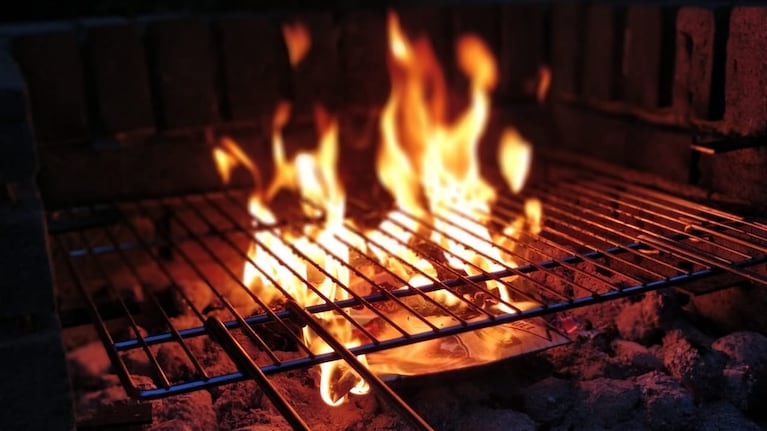 El fuego estaba listo, pero apareció la perra y se llevó la comida. Foto ilustrativa.