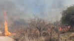 El fuego habría comenzado por un rayo durante el sábado y se propagó por las ráfagas de viento.