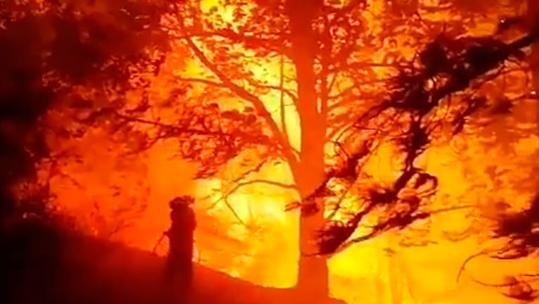 El fuego llegó al Parque Natural de Tamabada.