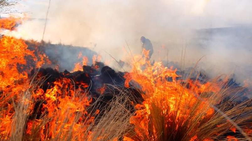 El fuego no da tregua en el interior provincial. 