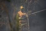 El fuego no da tregua en las sierras. Foto: Lucho Casalla / ElDoce.tv