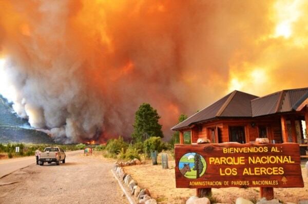 El fuego quemó más de mil hectáreas en Chubut. Foto: Diario La Jornada.