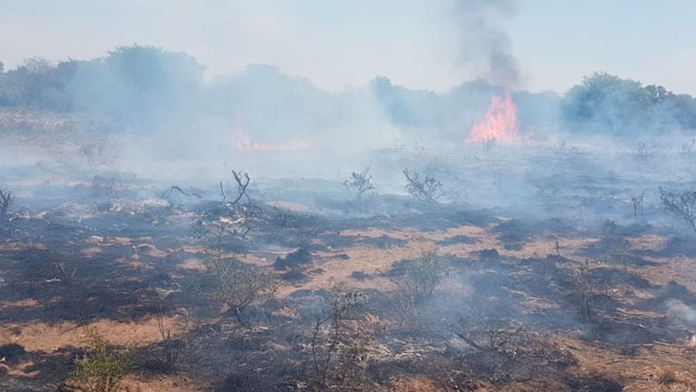 El fuego quemó más de seis mil hectáreas. Foto: ElDoce.tv