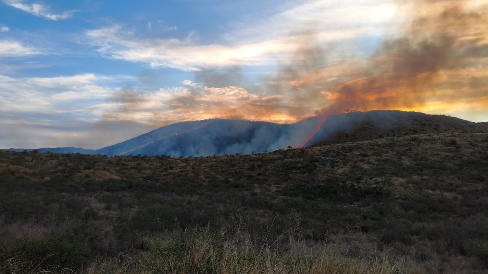 El fuego se extendió en la zona noroeste de La Calera.