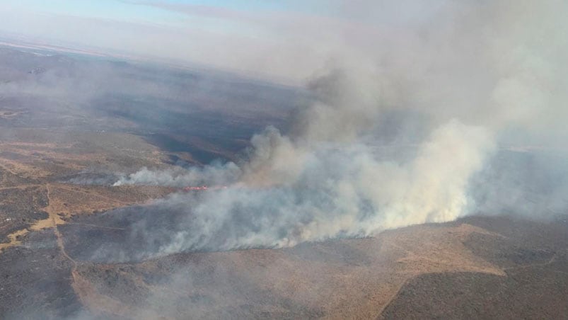 El fuego se inició intencionalmente en horas de la tarde.