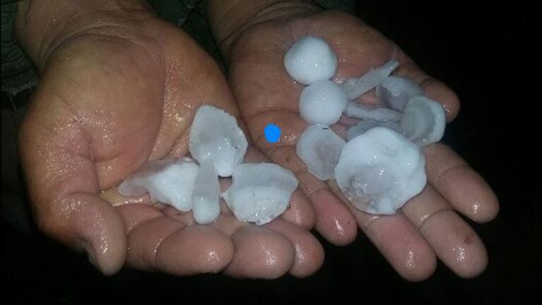 El fuerte viento provocó daños en Córdoba