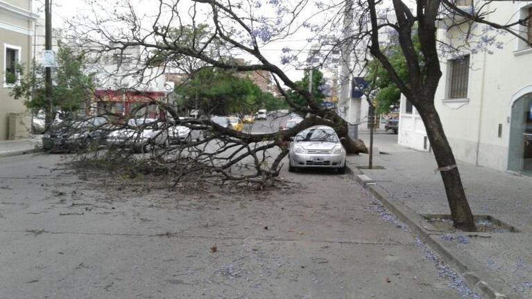 El fuerte viento provocó daños en Córdoba