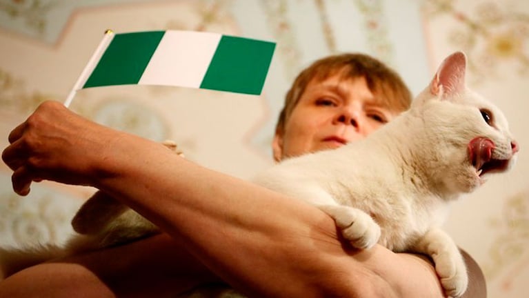 El gato Aquiles se relame después de comer del plato de Nigeria y dejar afuera a la Argentina.