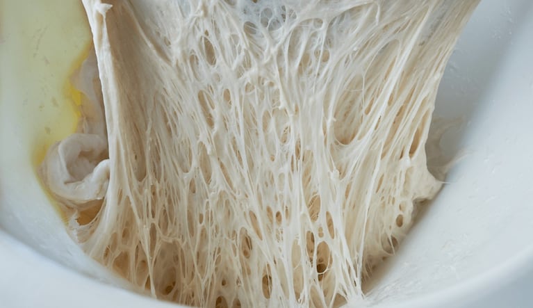 El gluten se genera cuando se amasan los alimentos.