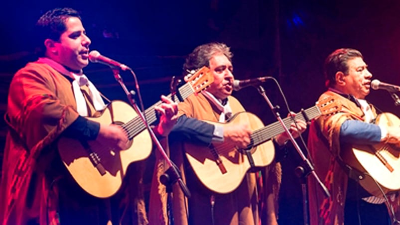 El grupo folclórico actuó en el Festival del Carbón. 