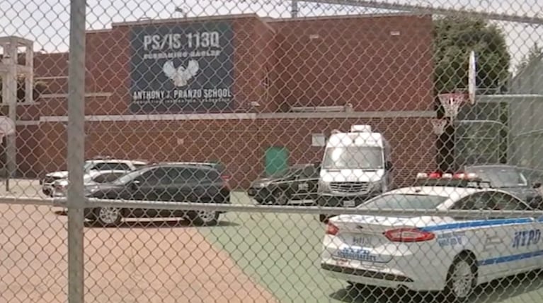 El hallazgo fue descubierto por el portero de la escuela.