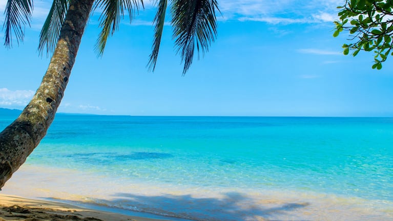 El hallazgo se produjo en el Mar Caribe de Costa Rica.