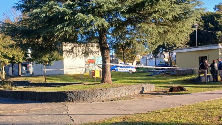 El hallazgo se produjo en la zona céntrica de Alta Gracia.