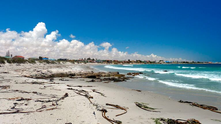 El hallazgo tuvo lugar en una playa de la costa oeste de Sudáfrica.