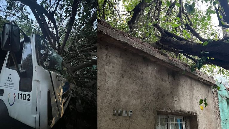 El hecho ocurrió en barrio General Mosconi.