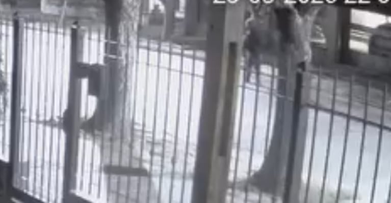 El hecho ocurrió en barrio Los Naranjos, en el oeste de la capital.
