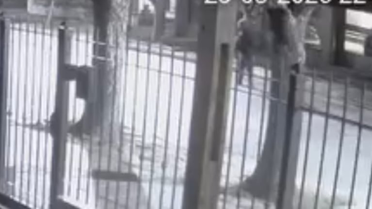 El hecho ocurrió en barrio Los Naranjos, en el oeste de la capital.