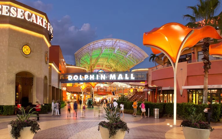 El hecho ocurrió en el Dolphin Mall de Miami.