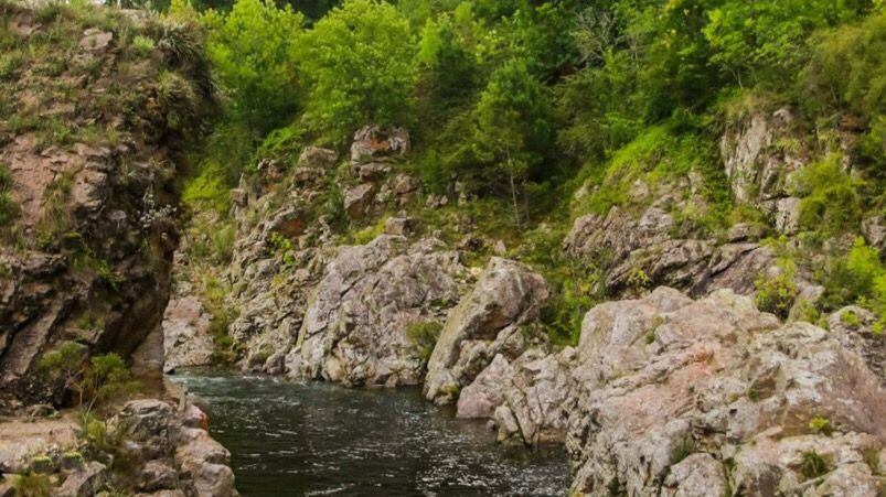 El hecho ocurrió en la reserva Los Cajones. 