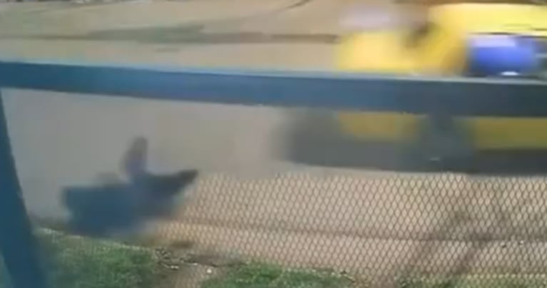 El hecho quedó grabado por las cámaras de seguridad.