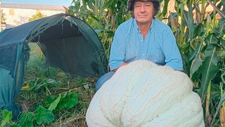 EL hombre del récord del zapallo de 111 kilos.