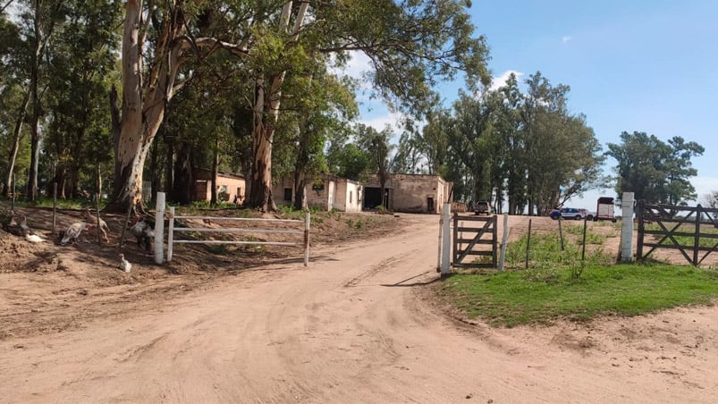 El hombre fallecido podaba un eucalipto en un campo.