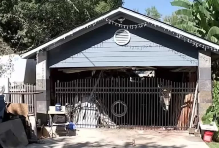 El hombre fue atacado por sus perros en el jardín de su casa.