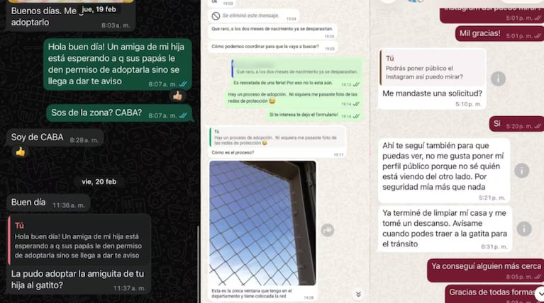 El hombre fue denunciado por maltrato animal.