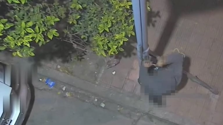 El hombre fue visto manipulando los cables del domo.