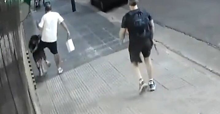 El hombre le propinó una patada sin motivo al cruzársela por la vereda.