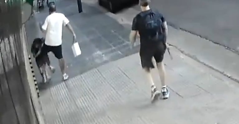 El hombre le propinó una patada sin motivo al cruzársela por la vereda.