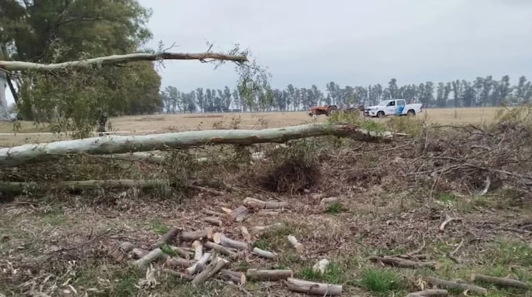 El hombre quedó debajo de una rama y murió.